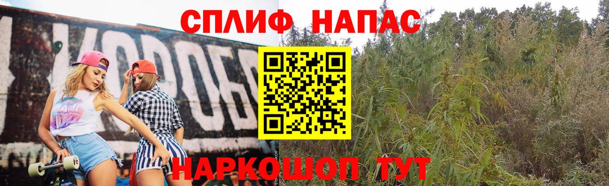 Светлоград  Бошки Шишки сатива  Вход с VPN  Шишки марихуана сатива  Канабис VHQ 